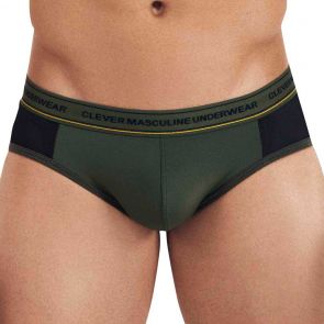 Clever Intuition Brief 030810 Green