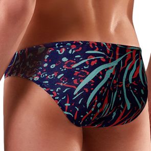 Doreanse Imprimé Brief 1409 Leo Zebra