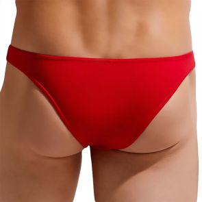 Gauvine Modern Essentials Brazilian Slip 2001 Red