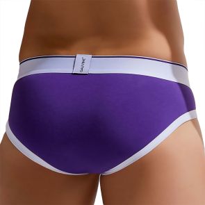 Gauvine Colours of the Planet Brief 2002 Purple