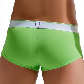 Gauvine Colours of the Planet Trunk 3000 Green