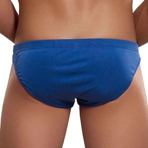 Magic Silk Bikini Brief 6606 Cobalt