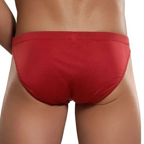 Magic Silk Bikini Brief 6606 Red