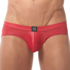 Gregg Homme Sexy Mens Underwear