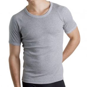 Bonds Raglan T-Shirt MB3937 Grey Marle