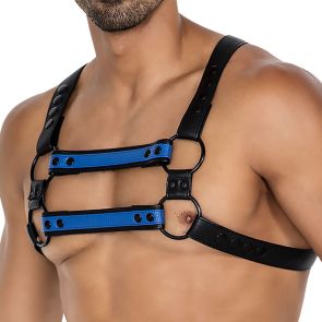 C4M H4RNESS 4Way Harness H4RNESS06 Radiant Blue
