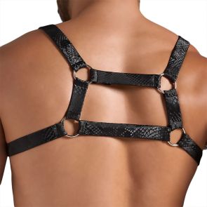 TEAMM8 PLAY Flex Harness TP-HRSPYN Python Black