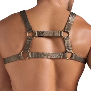 TEAMM8 PLAY Flex Harness TP-HRSPYN Python Bronze