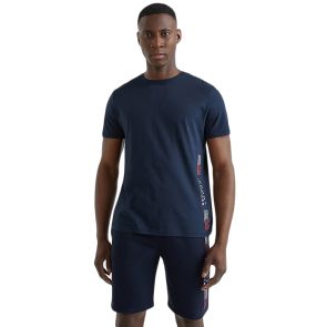 Tommy Hilfiger Stretch Logo Print T-Shirt Desert Sky