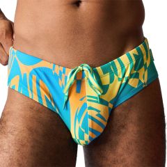 TEAMM8 Harbour City Wide Swim Brief TU-WSBHBC Tropical