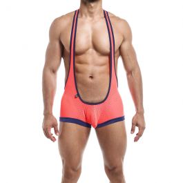 Singlets Bulge