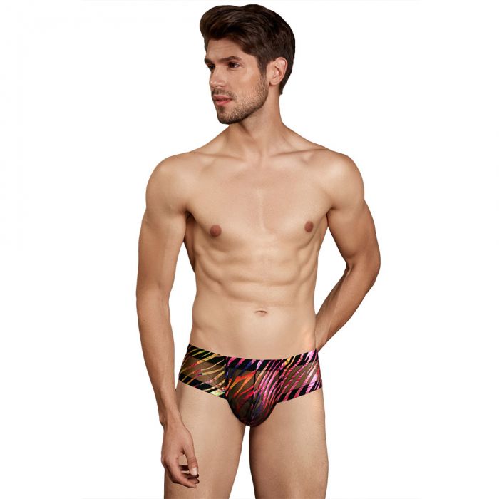 Doreanse Sheer Spectrum 1587 Rainbow Mens Underwear