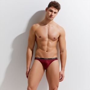 Gauvine Second Skin Brief 2011 Burgundy