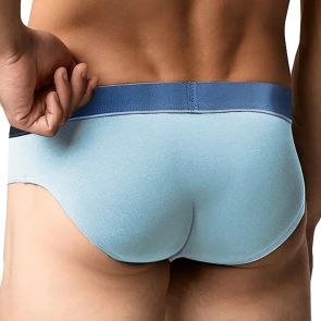 Obviously PrimeMan Brief A02 Celestial