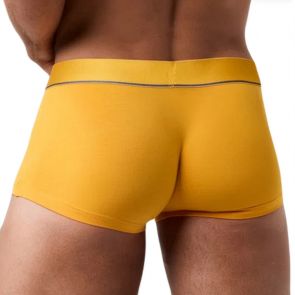 Obviously PrimeMan Trunk A03 Gold