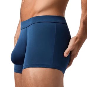Obviously EliteMan Boxer Brief 3 inch Leg F00 Titan