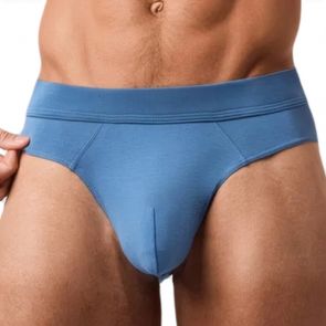 Obviously EliteMan Brief F02 Stellar