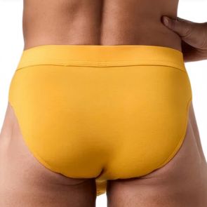 Obviously EliteMan Brief F02 Gold