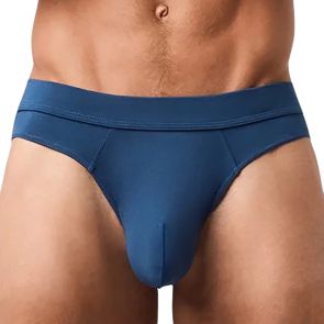 Obviously EliteMan Hipster Brief F04 Titan