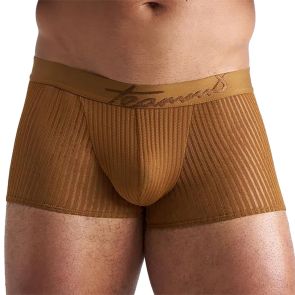 TEAMM8 Casanova Trunk TU-TRKCSNV Brass