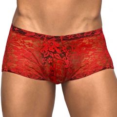 Male Power Stretch Lace Mini Short 145-162 Red