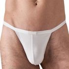 TEAMM8 You Bamboo Micro Brief TU-MBFYBB Optic