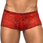 Male Power Stretch Lace Mini Short 145-162 Red Mens Underwear