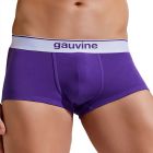 Gauvine Colours of the Planet Trunk 3000 Purple Mens Underwear