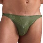 TEAMM8 PLAY Flex Brief TP-BFPYTN Python Army