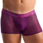 TEAMM8 Casanova Trunk TU-TRKCSNV Violet Mens Underwear