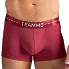 TEAMM8 Icon Trunk TU-UKICON Dusty Red Mens Underwear