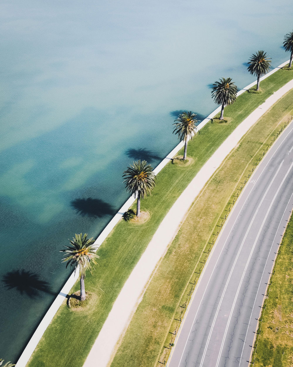 Lakeside at Albert Park, Melbourne, by Pat Whelen
