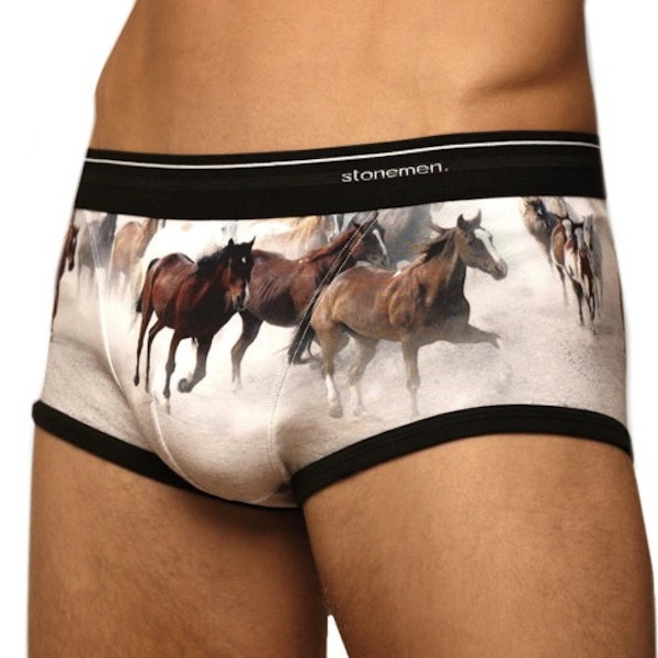 Men's Briefs  Buy Men's Briefs & Underwear Online - Stonemen